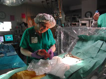Using a sheep's heart in a surgery scene for Cheyenne Heart Center.