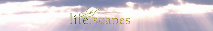 Welcome to life:scapes. An escape from television news shows or soap operas. For organizations where the TV is on all day: Hospitals, ICUs, nursing homes, doctor's offices. Each life scapes dvd is one hour long. Build your own in-house network one dvd at a time. View a demo of the summer dvd on this page!