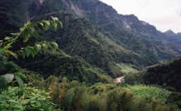 Lush mountains in central Taiwan. 